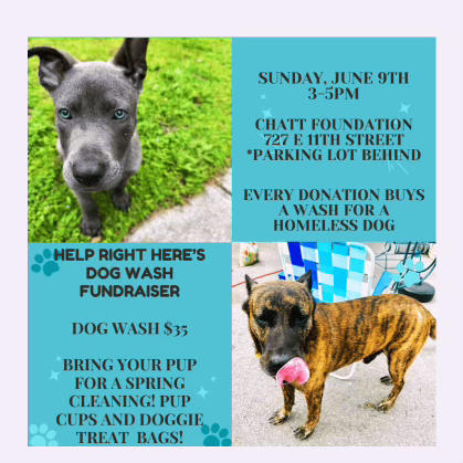 HRH Dog Wash Fundraiser June 9th
